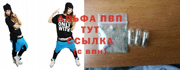 PSILOCYBIN Струнино