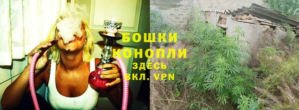 каннабис Белокуриха