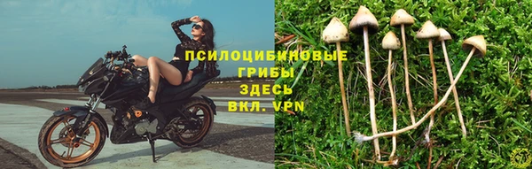 гидропоника Бугульма