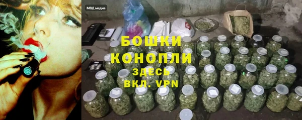 дмт Богородск
